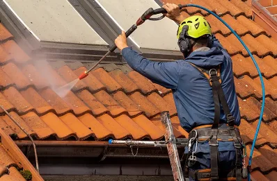 Démoussage et hydrofuge de toiture à Larbont